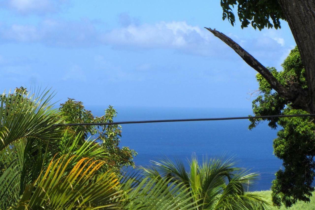 Or Bleu-Bungalow Volcan Soufriere-Vue Sur Mer サン・クロード エクステリア 写真