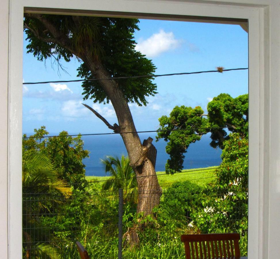 Or Bleu-Bungalow Volcan Soufriere-Vue Sur Mer サン・クロード エクステリア 写真